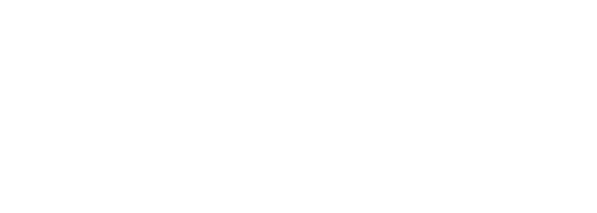 MineStudioW