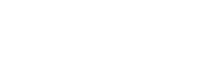 VylentW